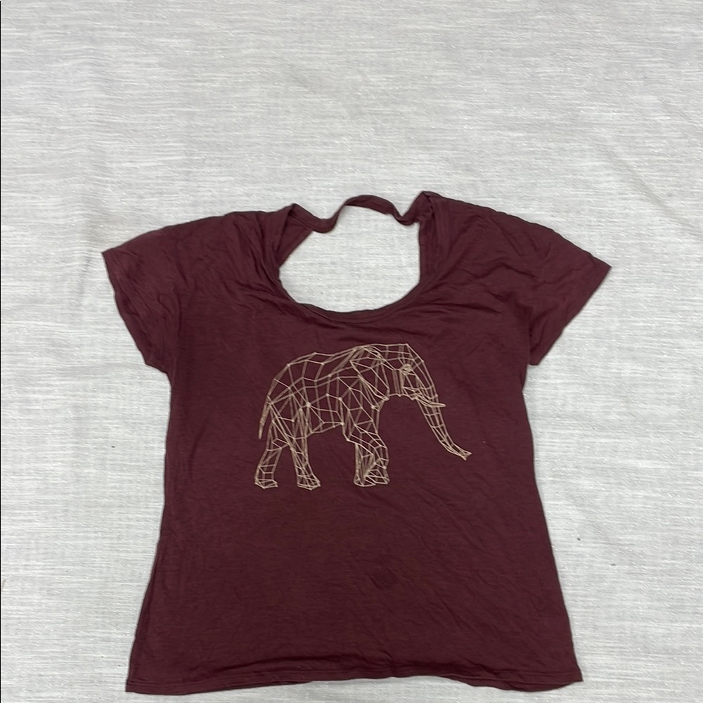 Evolution and Creation Maroon Tee